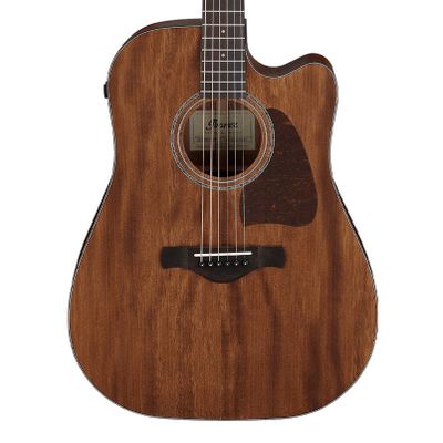 Ibanez AW1040CE-OPN