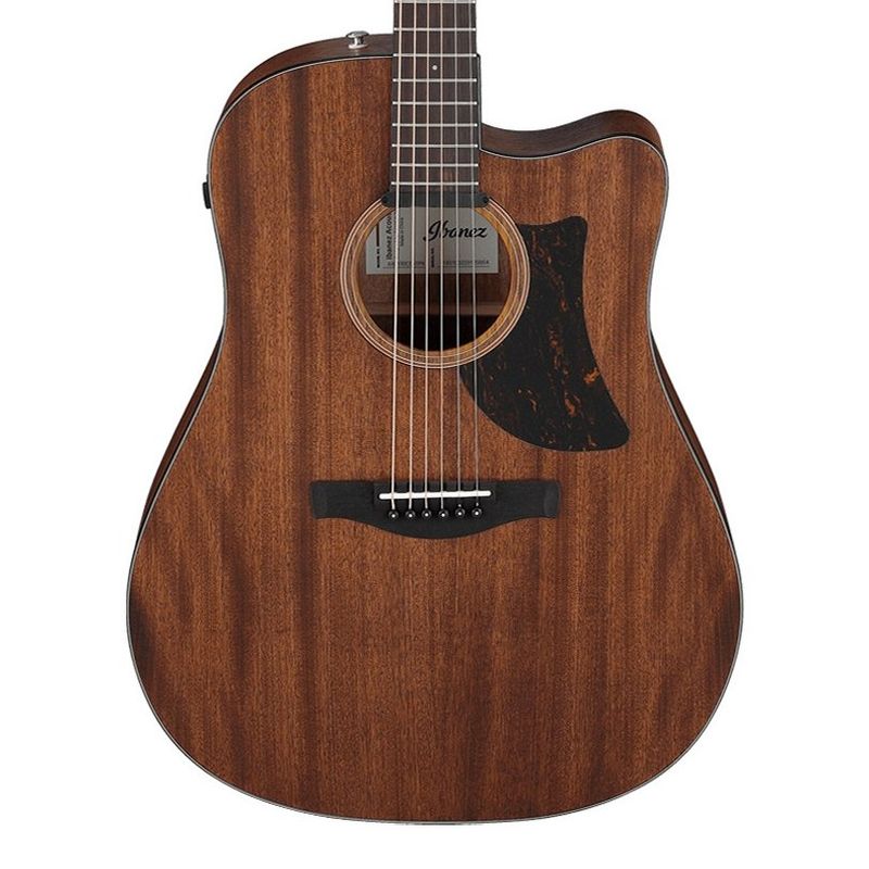 Ibanez AAD190CE-OPN
