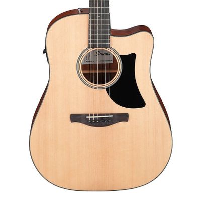 Ibanez AAD50CE-LG