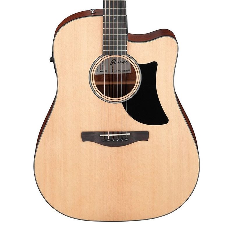 Ibanez AAD50CE-LG