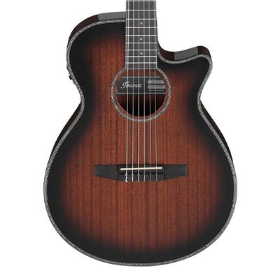 Ibanez AEG74N-MHS