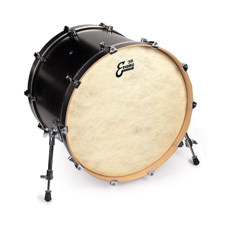 Evans BD20CT Calftone bastrumskinn 20"