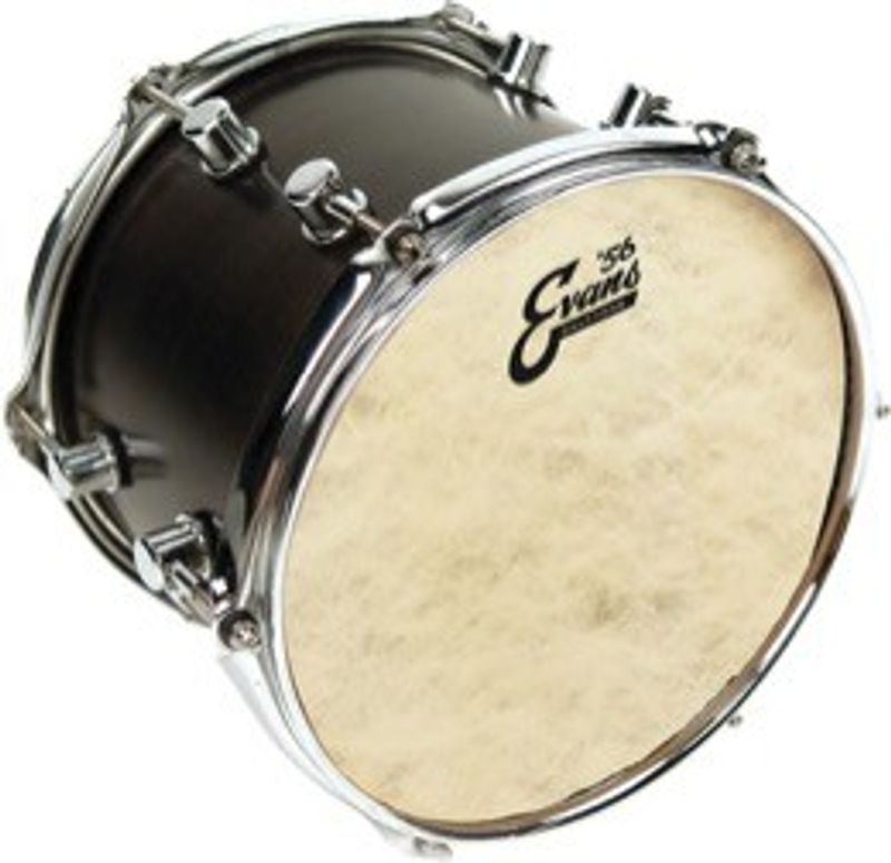 Evans TT13C7 Calftone pukskinn 13"