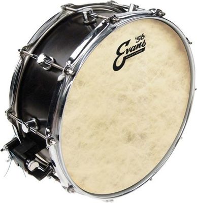 Evans TT14C7 Calftone pukskinn 14"