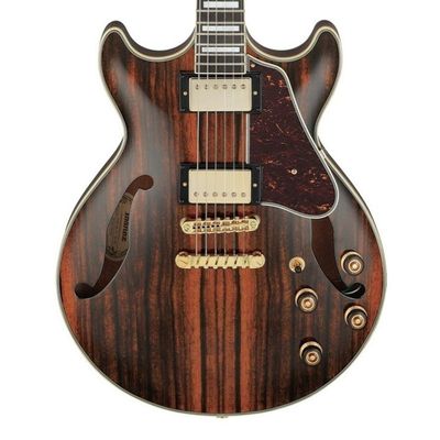 Ibanez AM93ME-NT