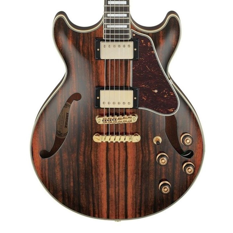 Ibanez AM93ME-NT