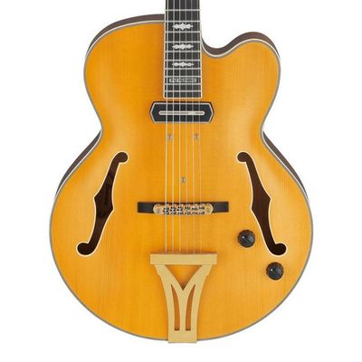 Ibanez PM3C-NAL