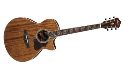 Ibanez AE245-NT – bild 2