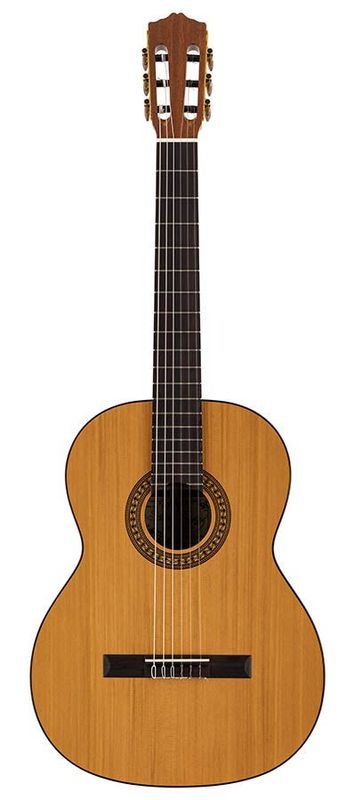 Salvador Cortez CC-22 klassisk gitarr, massivt cederlock, 4/4 – bild 3