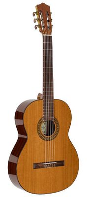 Salvador Cortez CC-22 klassisk gitarr, massivt cederlock, 4/4