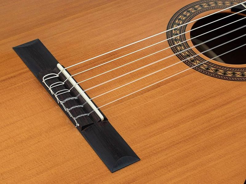 Salvador Cortez CC-22 klassisk gitarr, massivt cederlock, 4/4 – bild 5