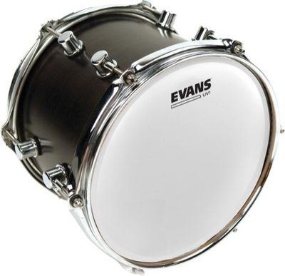 Evans B13UV1 UV1 Coated pukskinn 13"