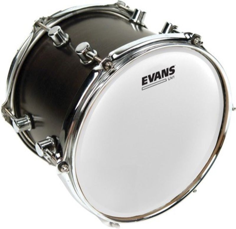 Evans B13UV1 UV1 Coated pukskinn 13"