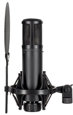 sE Electronics sE2300
