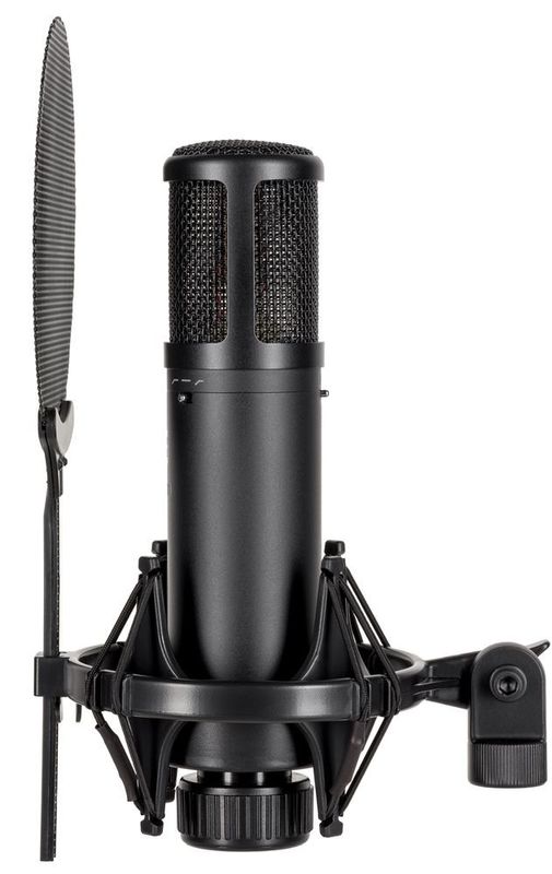 sE Electronics sE2300