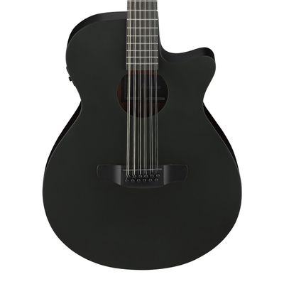 Ibanez AEG1221-BOT
