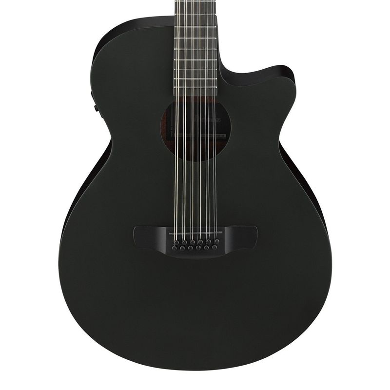 Ibanez AEG1221-BOT