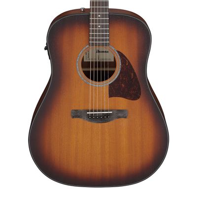 Ibanez AAD54E-OMH