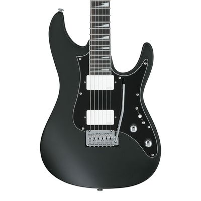 Ibanez BER10