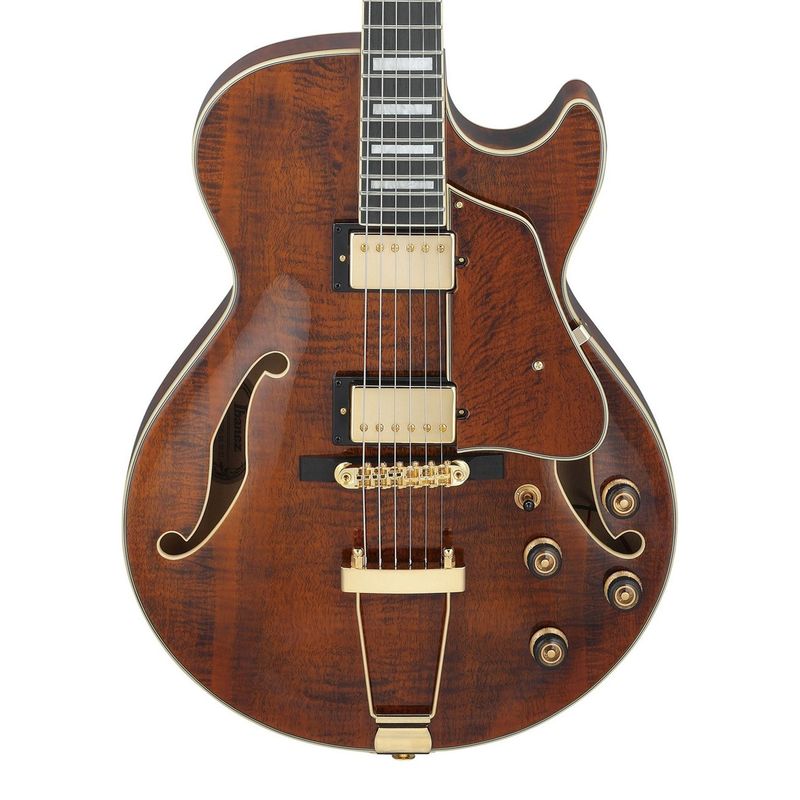Ibanez AG95MG-DA