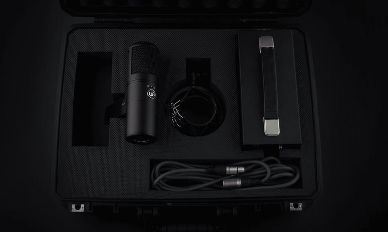 Warm Audio WA-8000