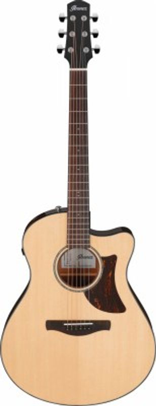 Ibanez AAM300CE-NT