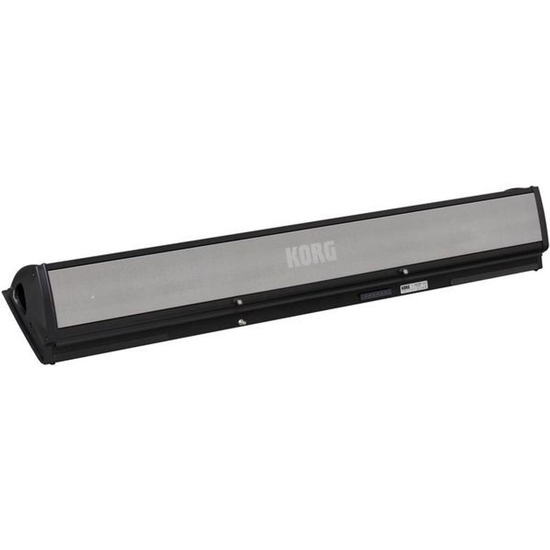 Korg PaAS MK2 - Amplification System