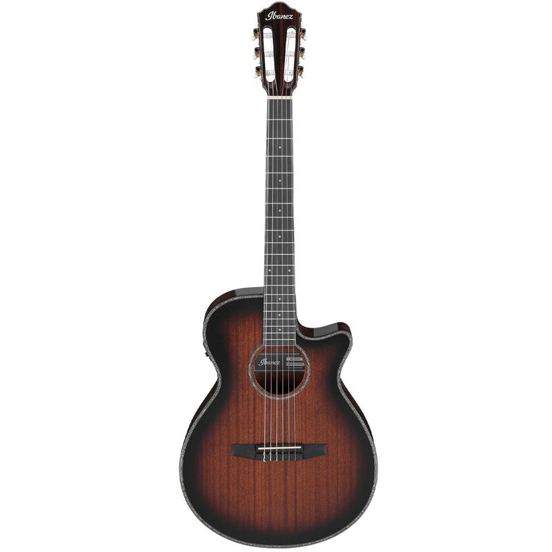 Ibanez AEG74N-MHS – bild 2