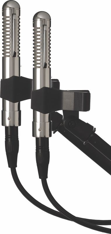 Warm Audio WA-2FT Stereo Pair