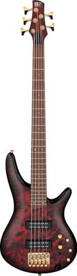 Ibanez SR305EDX-WZM – bild 2