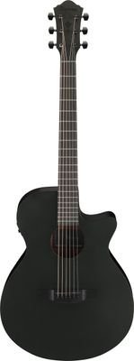 Ibanez AEG621-BOT – bild 2