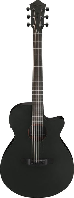 Ibanez AEG621-BOT – bild 2