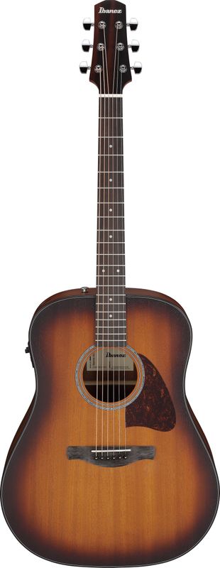 Ibanez AAD54E-OMH – bild 2