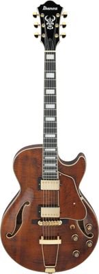 Ibanez AG95MG-DA – bild 2