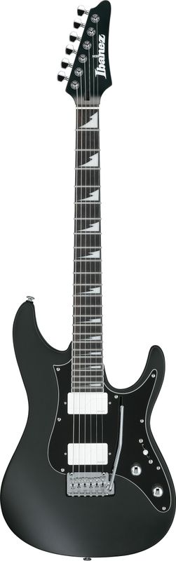 Ibanez BER10 – bild 2