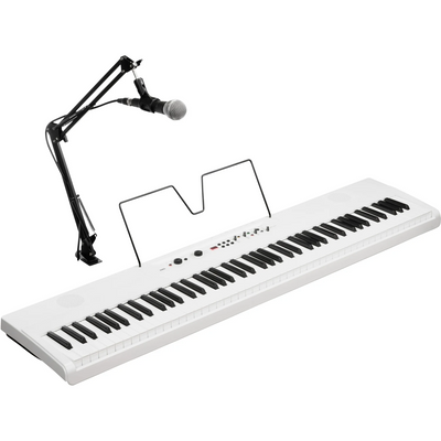 Korg L1 Live