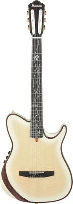 Ibanez TOD100FMN-TMM – bild 2