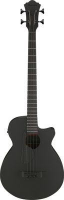 Ibanez AEGB420-BOT