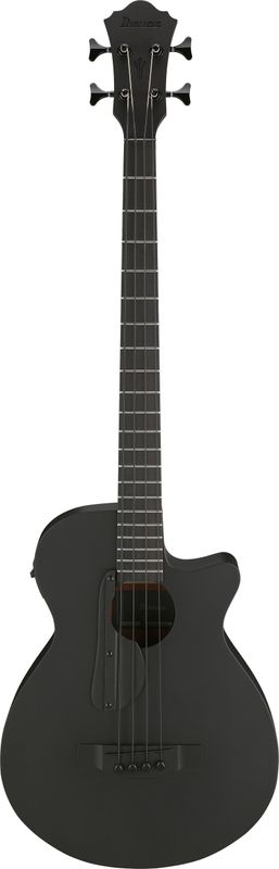 Ibanez AEGB420-BOT