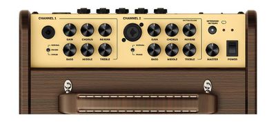 Richwood RPF-65 Performer 65 akustikförstärkare, 60 W – bild 3