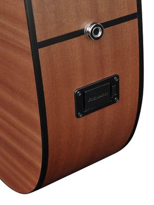 Richwood D-20CE – bild 10