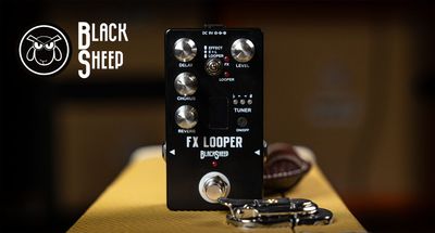 FX Looper – bild 2