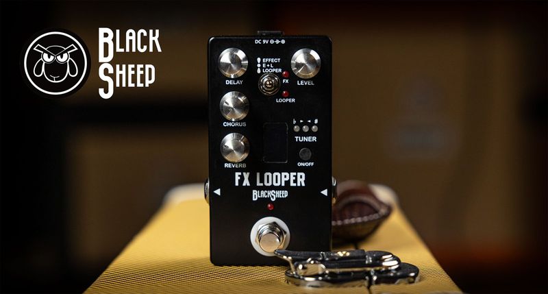 FX Looper – bild 2
