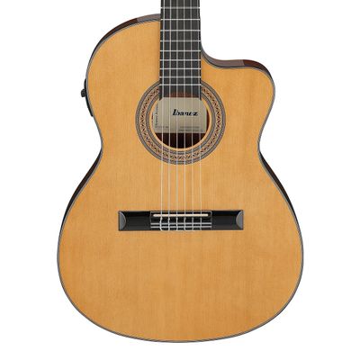 Ibanez GA5TCE-AM