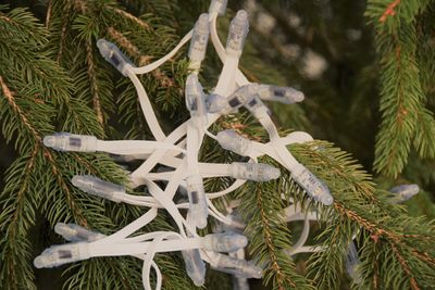 Digital RGB LED-slinga WS2801 - enfärgad kabel vit