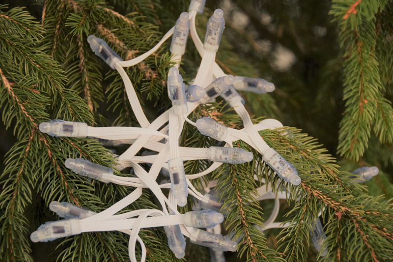 Digital RGB LED-slinga WS2801 - enfärgad kabel vit