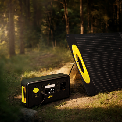 Aqiila solpanel Sunbird P100