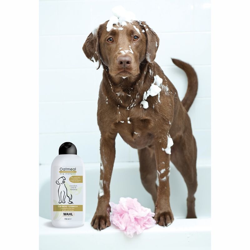 Oatmeal, Concentrated Shampoo 750 ml