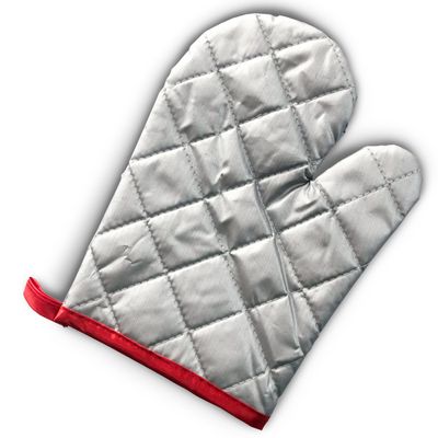 Garment Steamer ST110