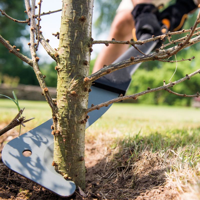 Clearing knife
The WoodXpert XA23